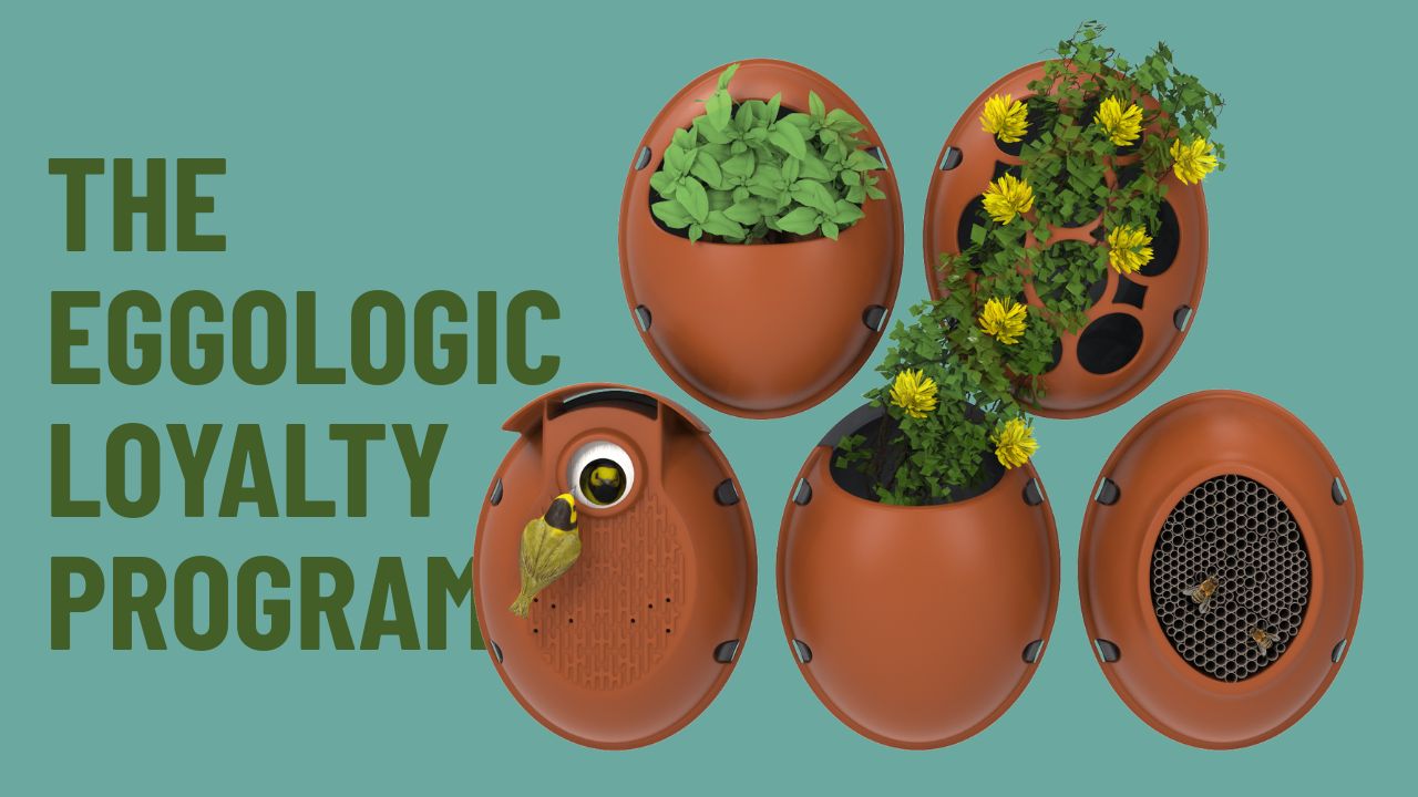 The Eggologic Loyalty Program: How To Earn & Redeem Reward Points
