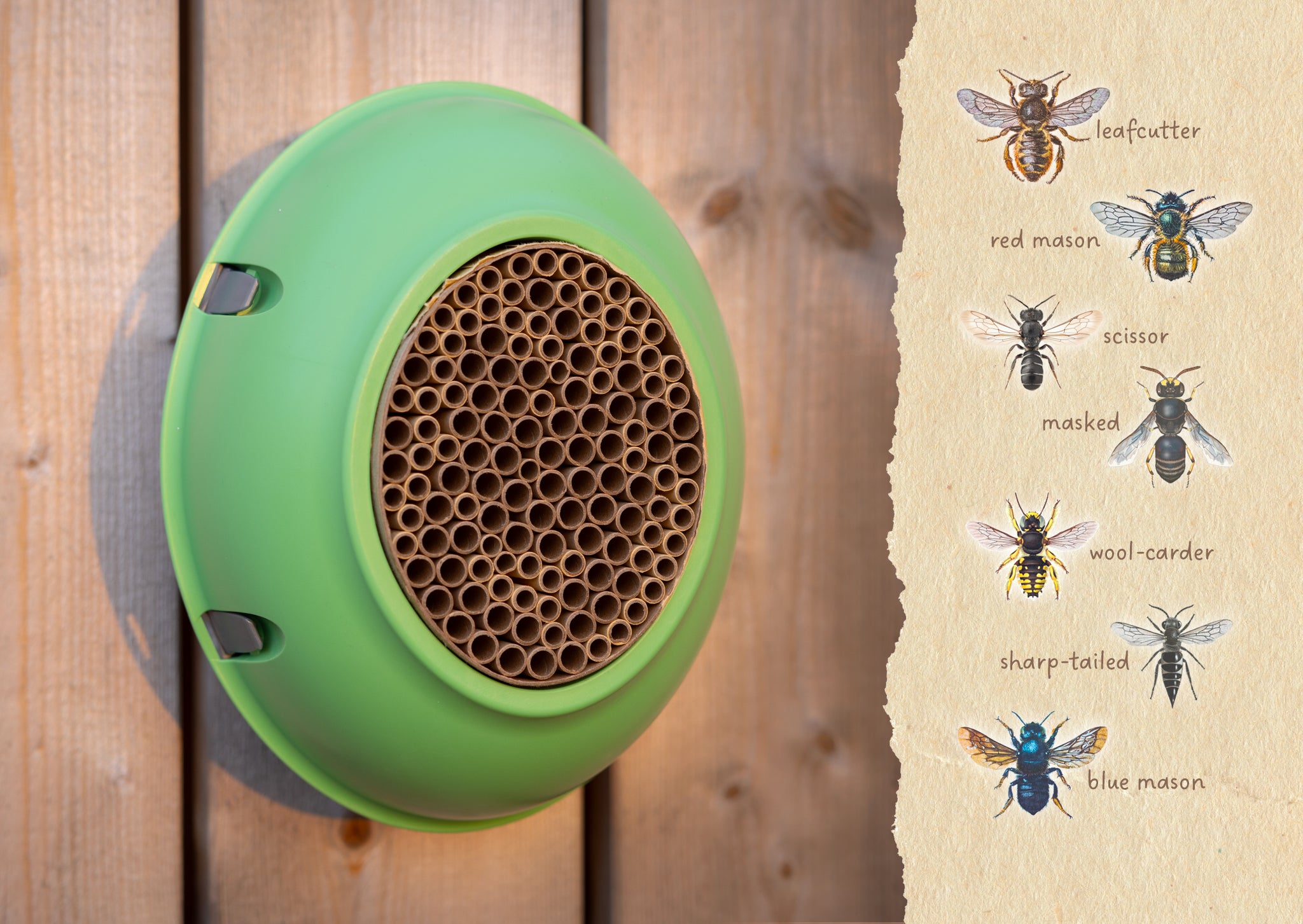 Hive Pod