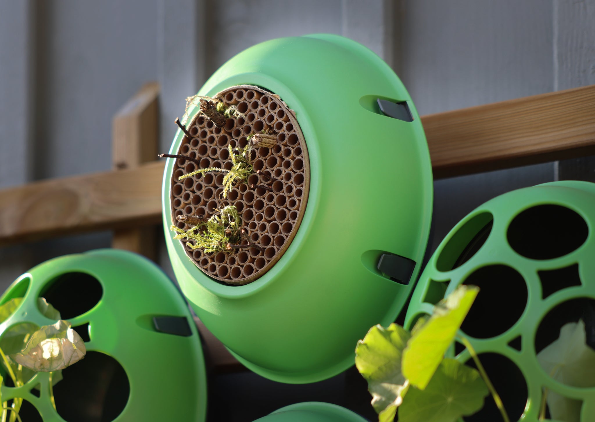 Hive Pod