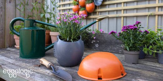 Choosing the Best Soil for Your Wall Planter (Plus How to Make the Perfect Mix)