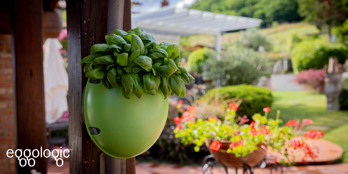 How to Grow Your Own Urban Garden With Wall Planter Pods