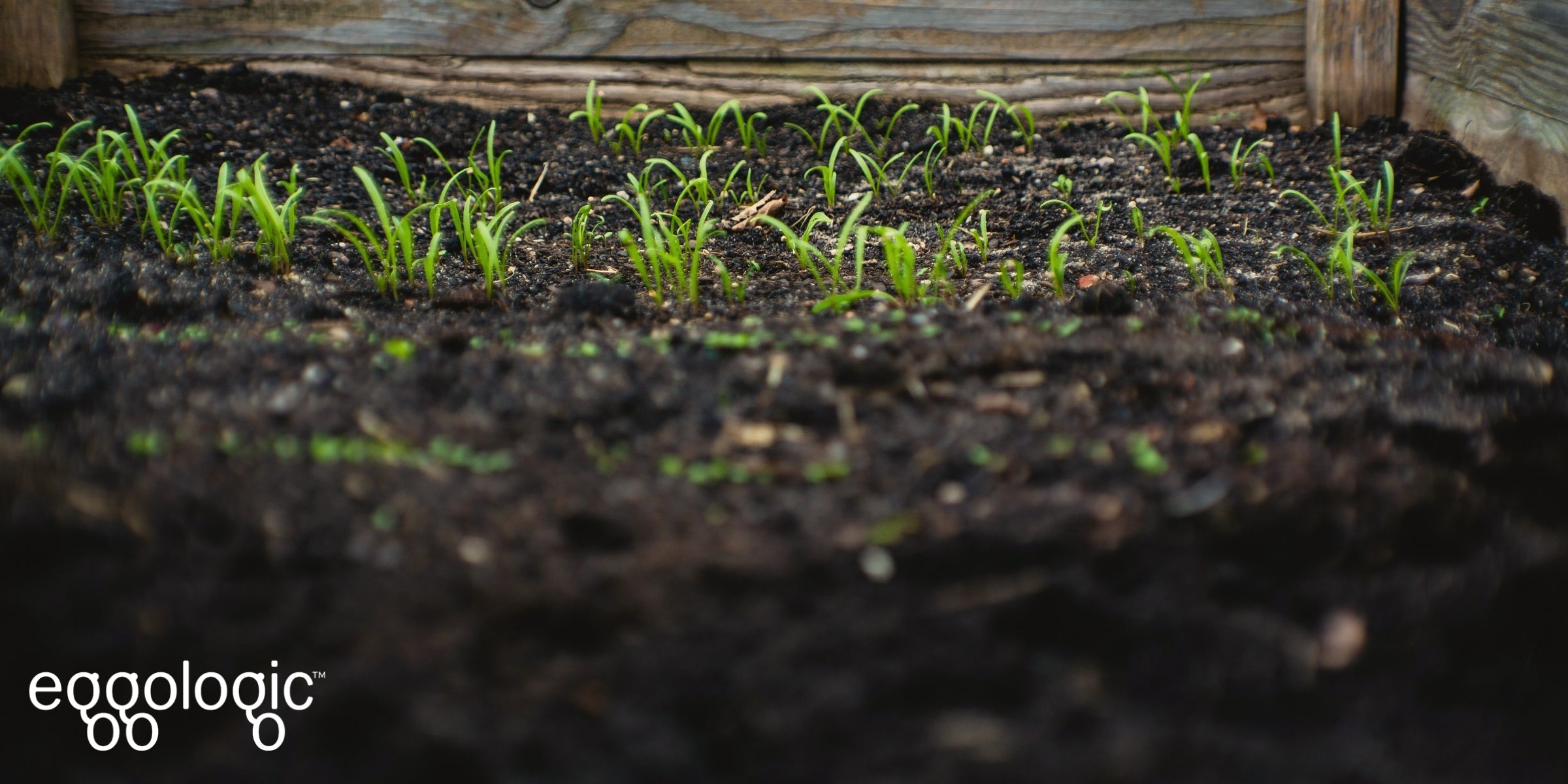 Our Top Tips For Soil Health Throughout the Year