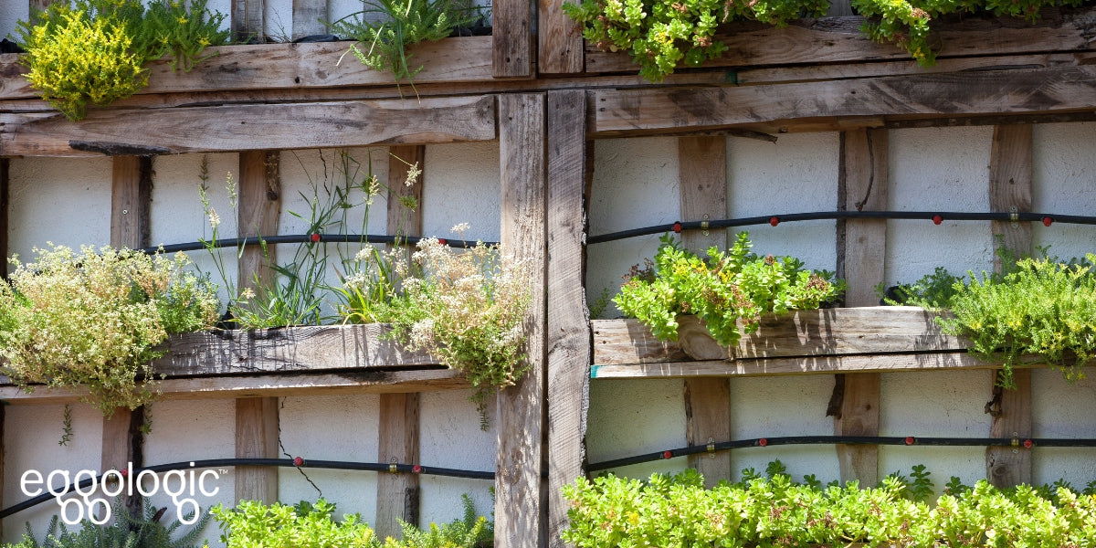 The 5 Most Common Vertical Gardening Challenges, Solved