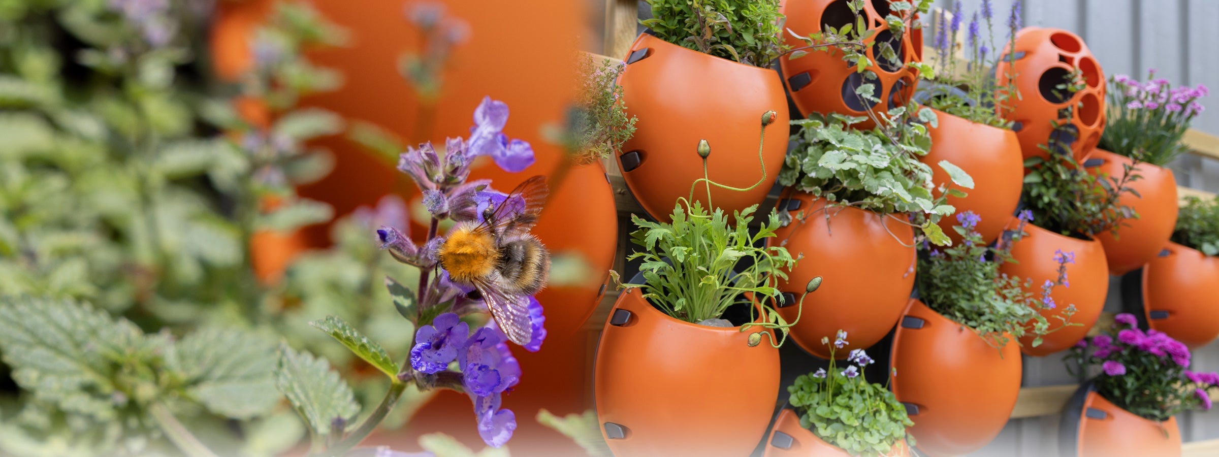 Garden Pods