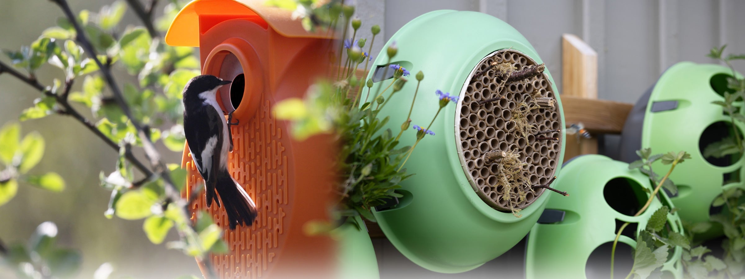 Wildlife Pods